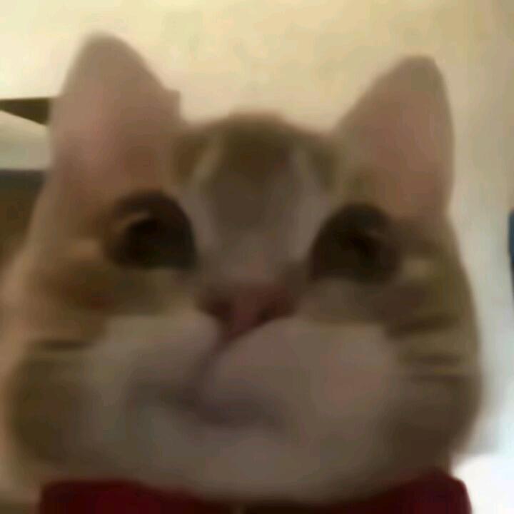 指纹写下所有遇见
