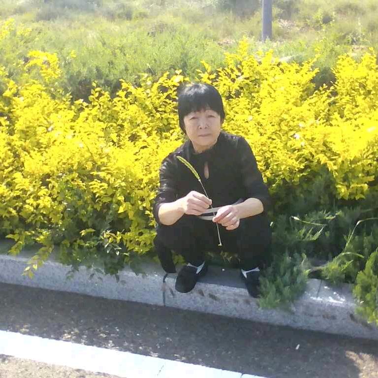 。心语