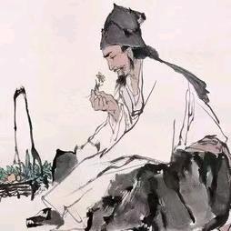 植物郎中