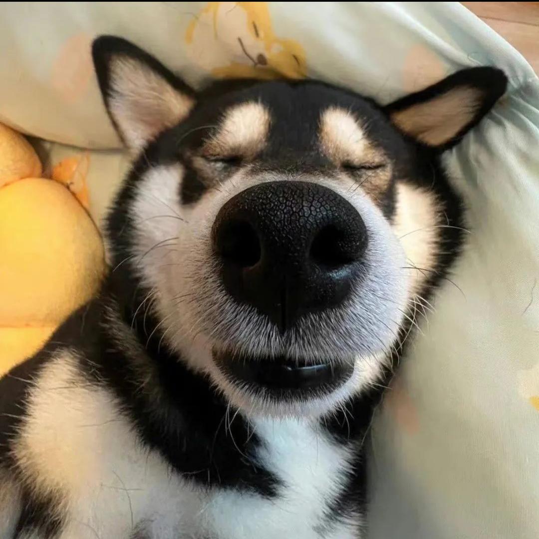 佛语禅心