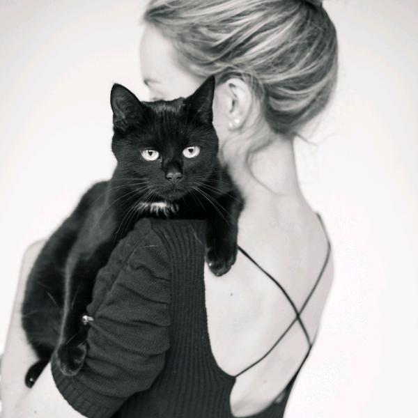 @猫猫
