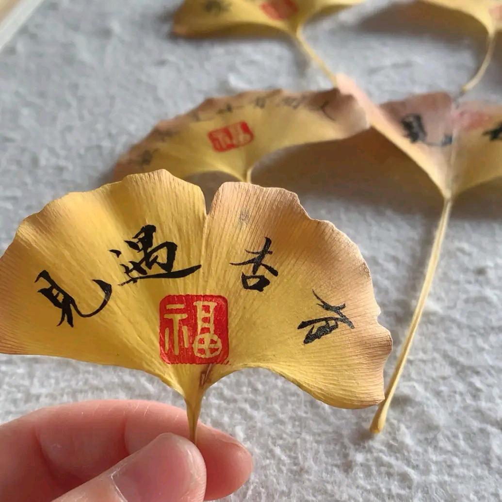 见山练字
