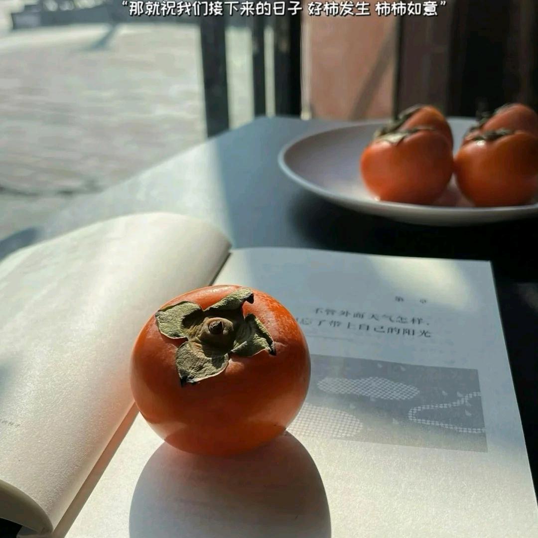 佳丽