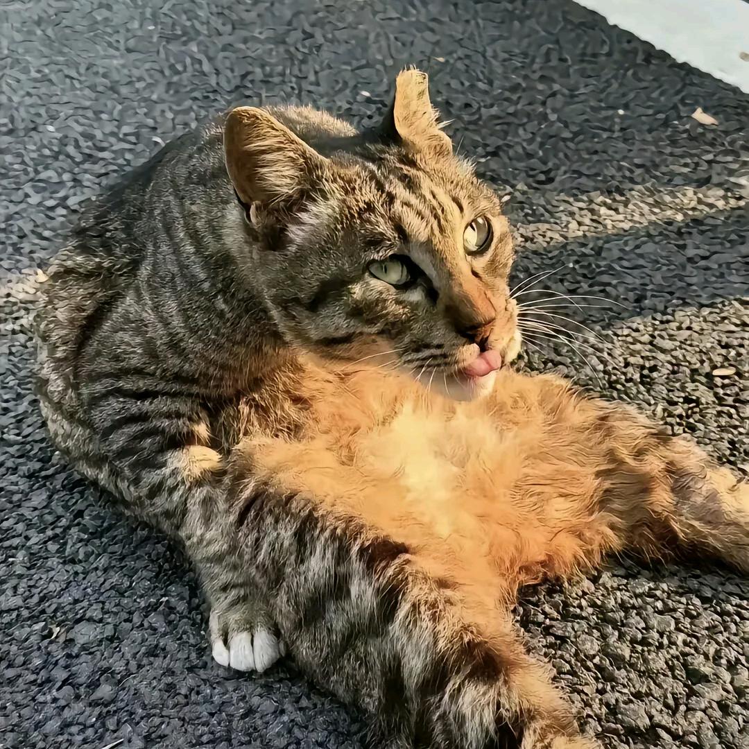 秋下心