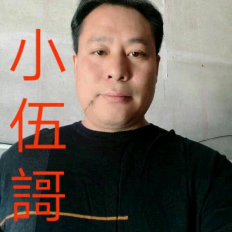 小伍哥