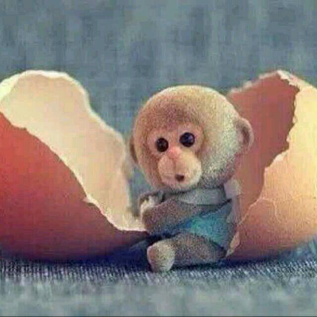 @Zz