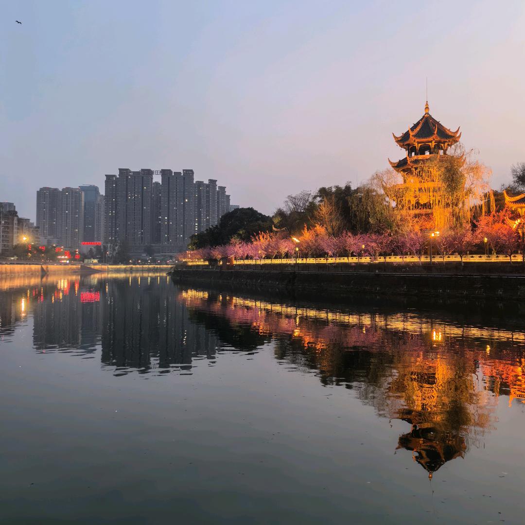 齐哥《爱做菜》