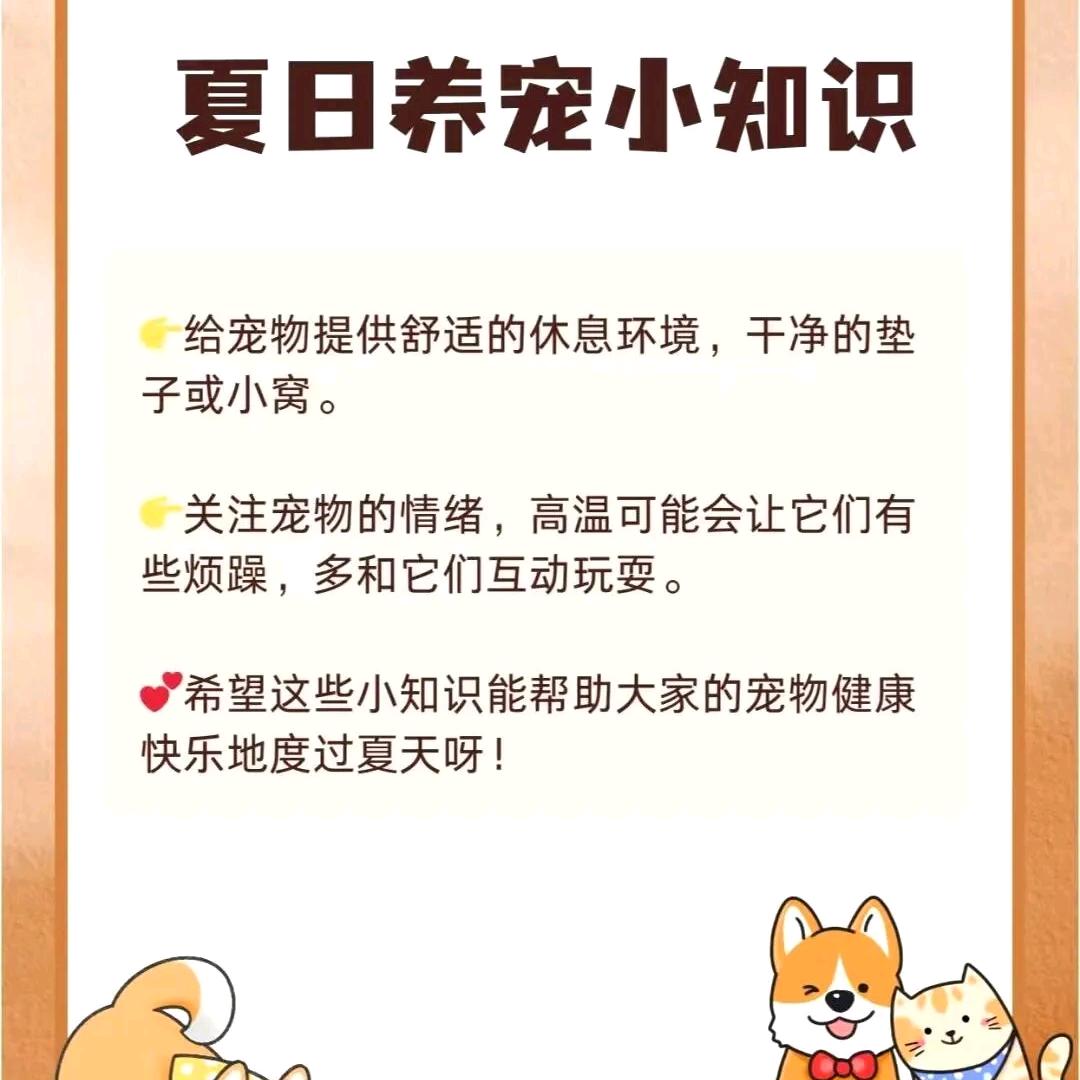 ᦦ້ᮨ囍妹儿້໌࿐