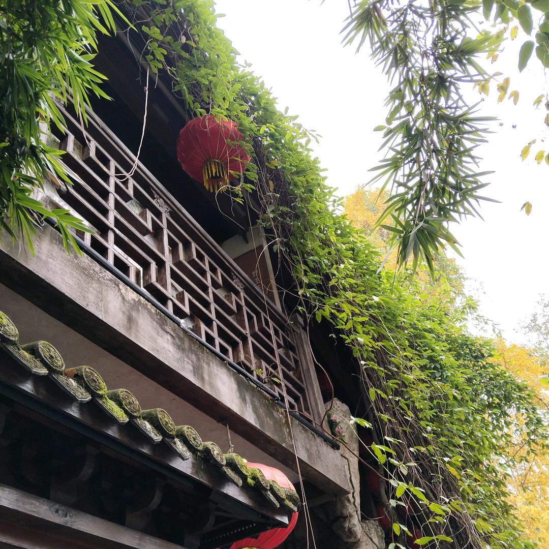 小梅