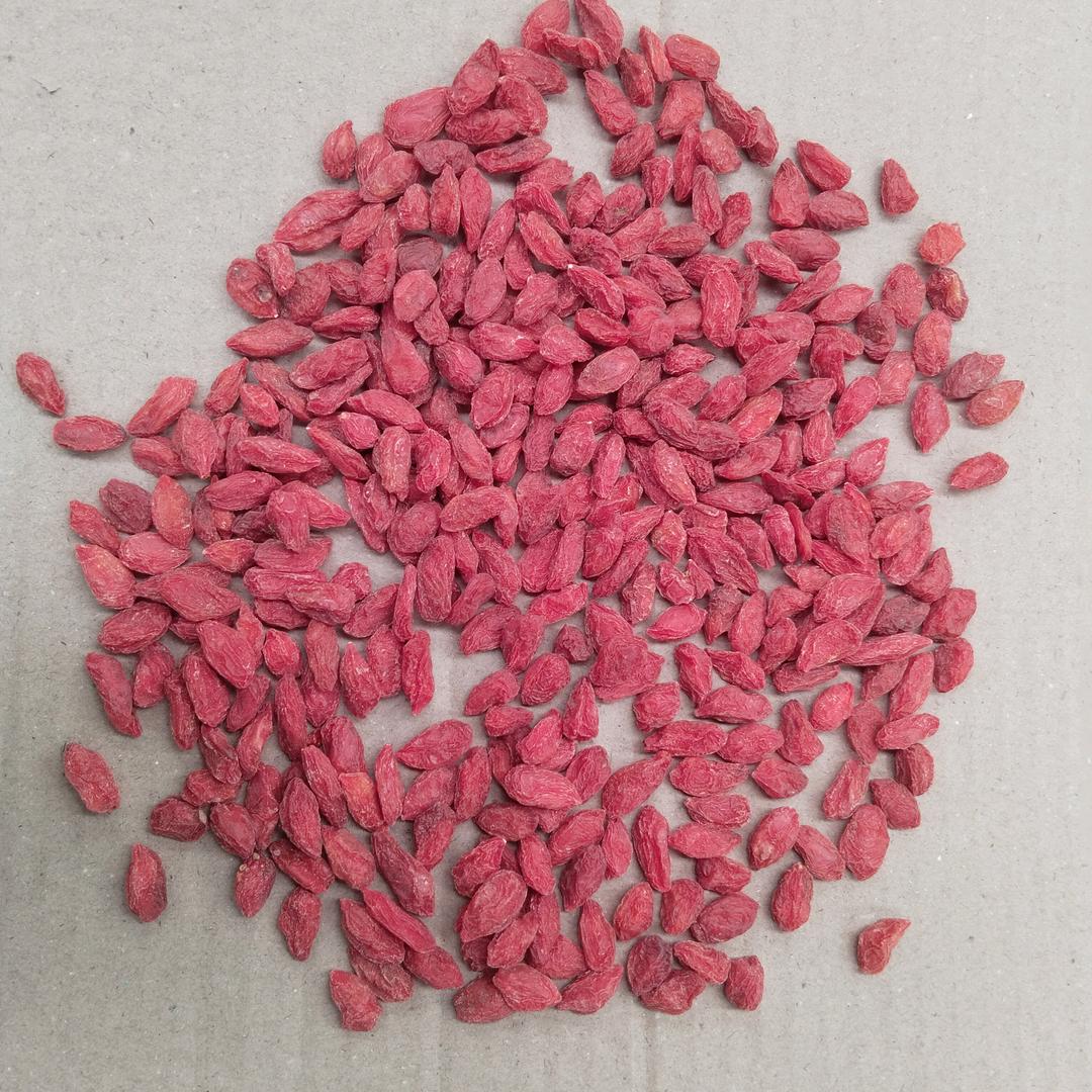 憨憨枸杞