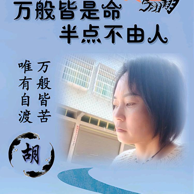 净流管家