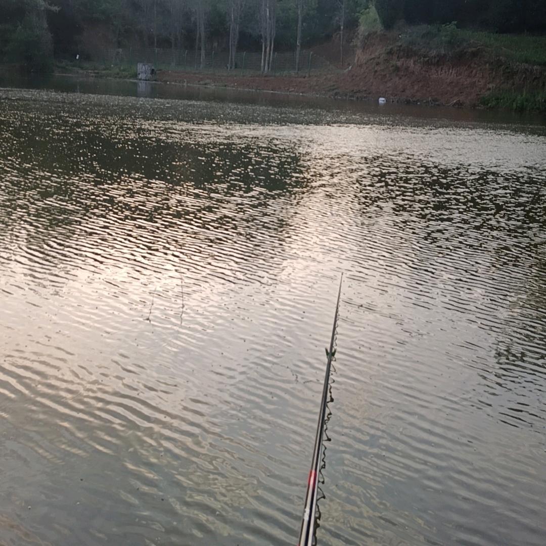 钓手