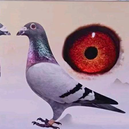 昊天府——冯涔