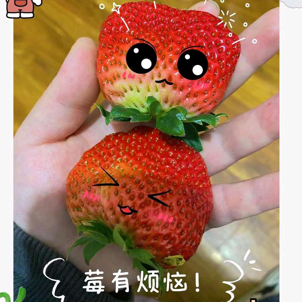 莓狃繁閙