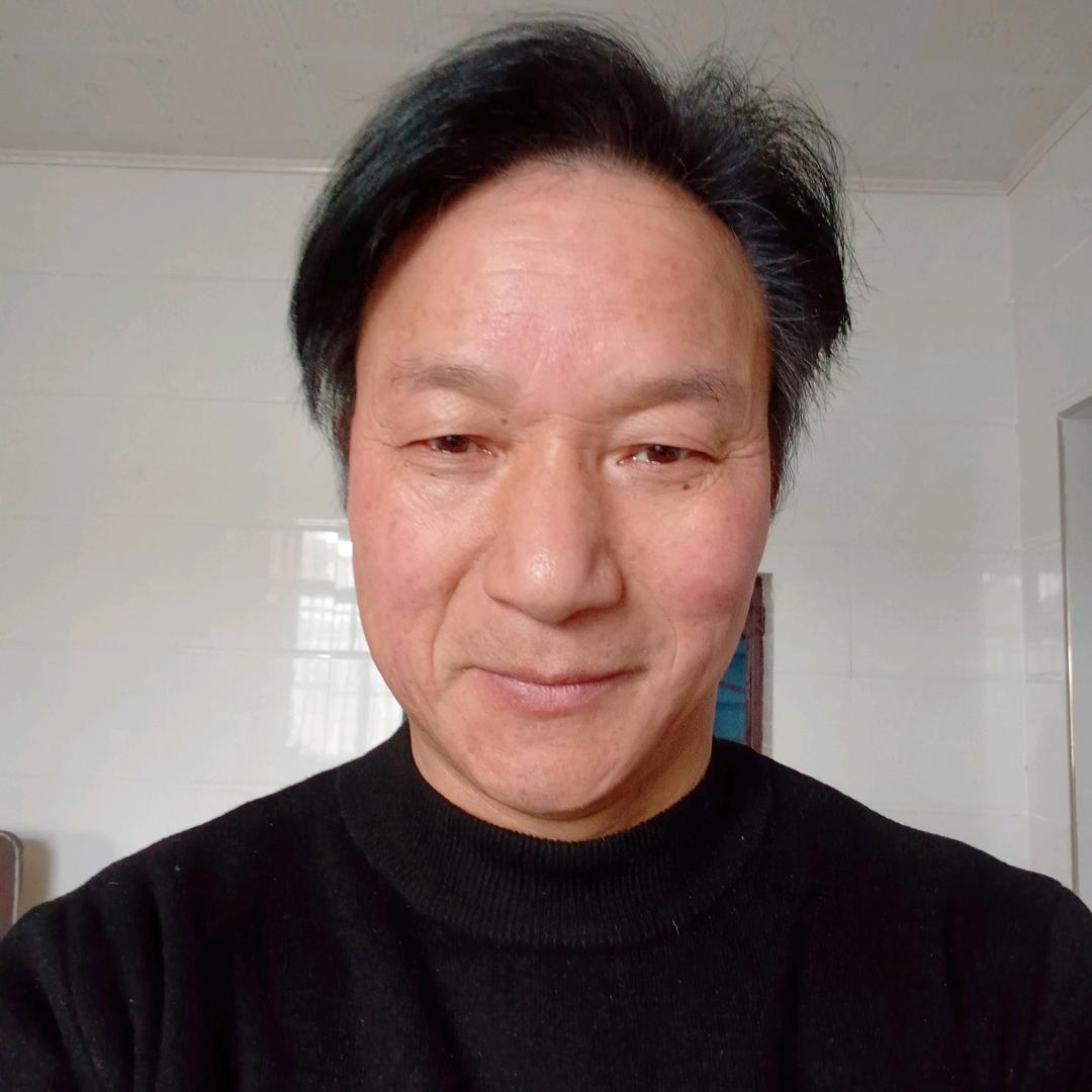 奥巴猫
