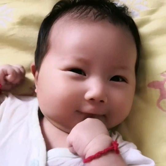 美淇