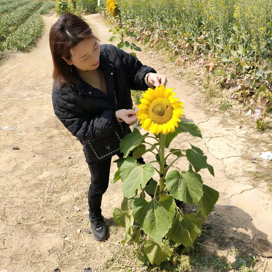 小张丫