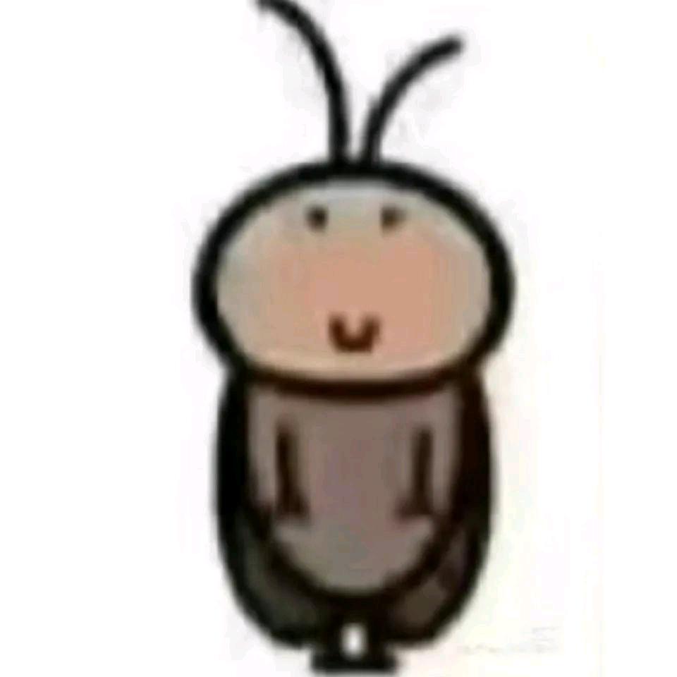 小象-—