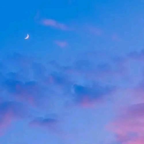 预退档