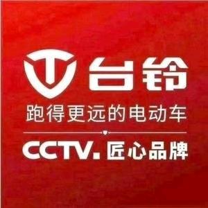 台铃电动车庄周大道店