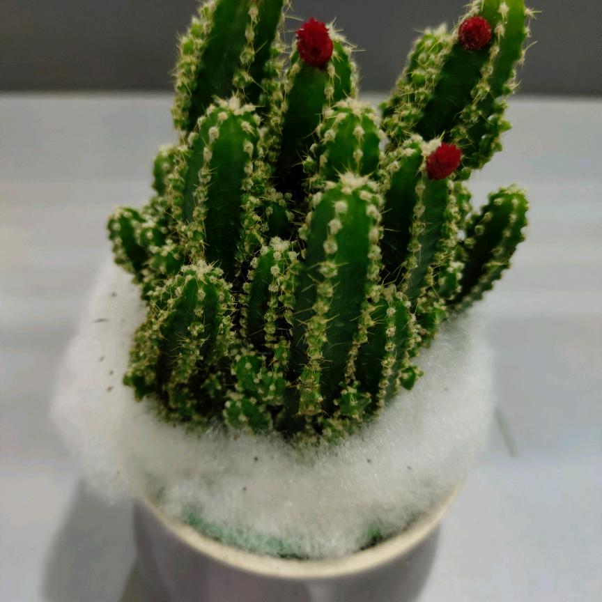 天崖海角