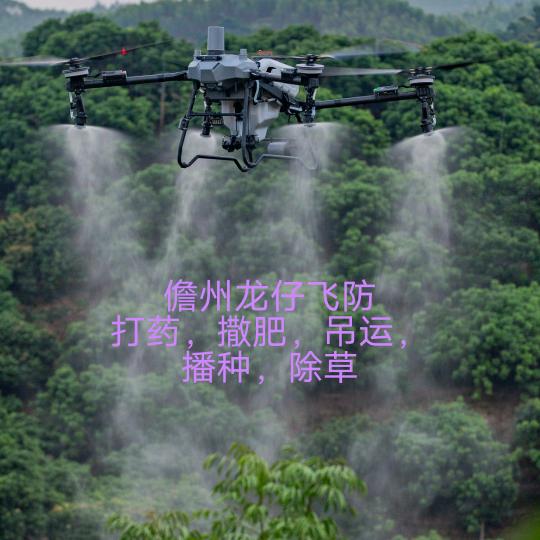 儋州龙仔飞防