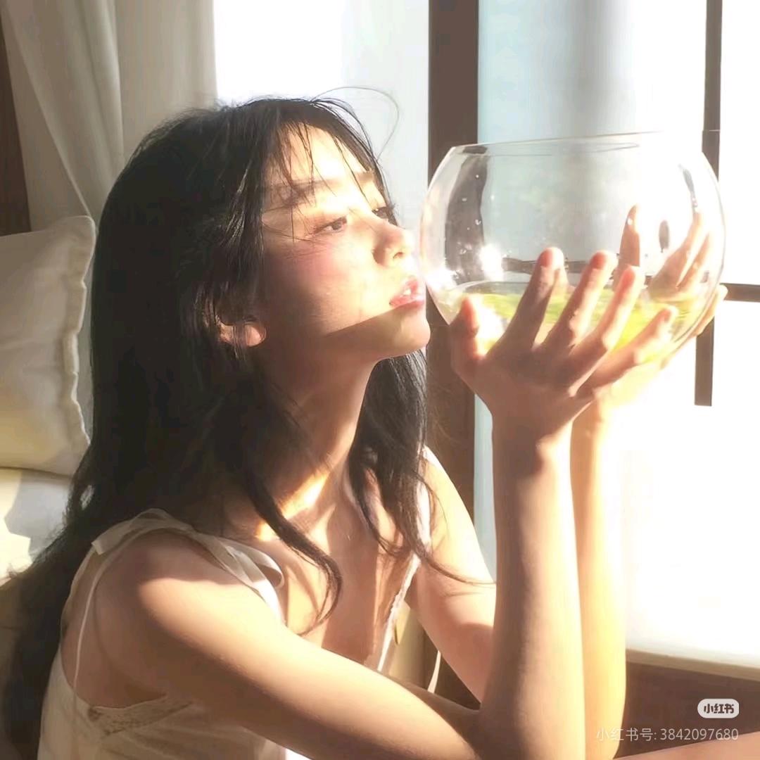 酒巷小猫