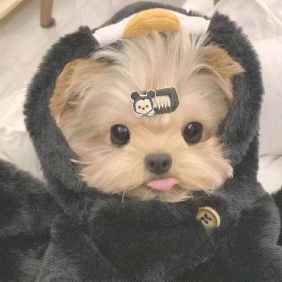 S'