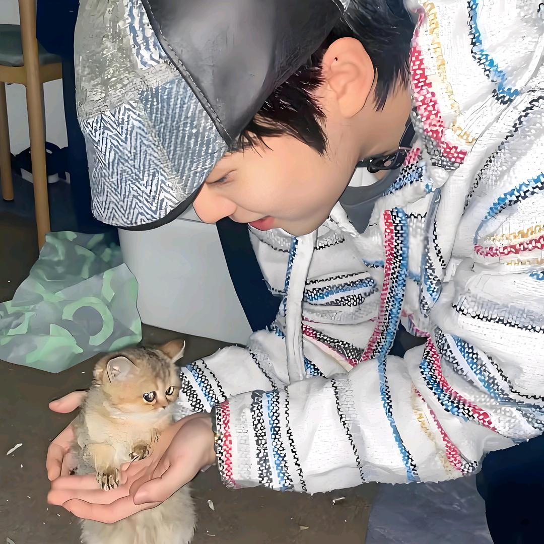 发誓再也不吃黄焖鸡