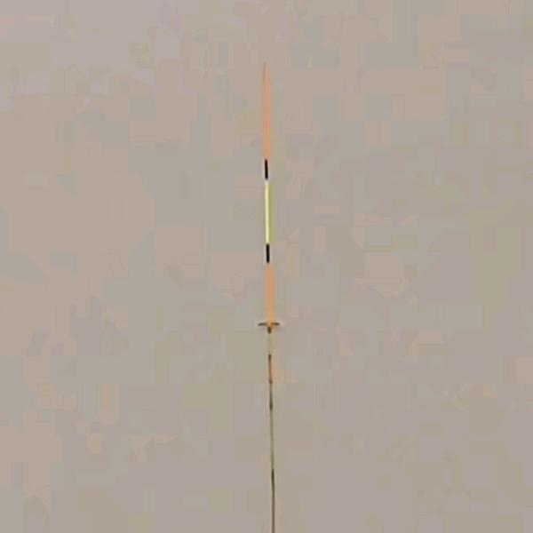 🎣乐此不疲🐟🐟🐟🐟