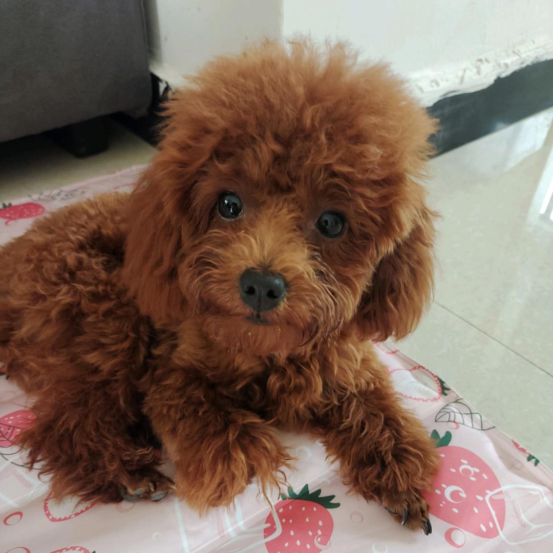 回忆曾经
