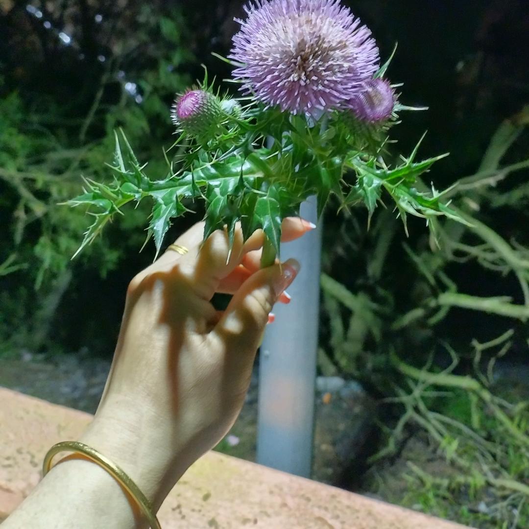 悠自在