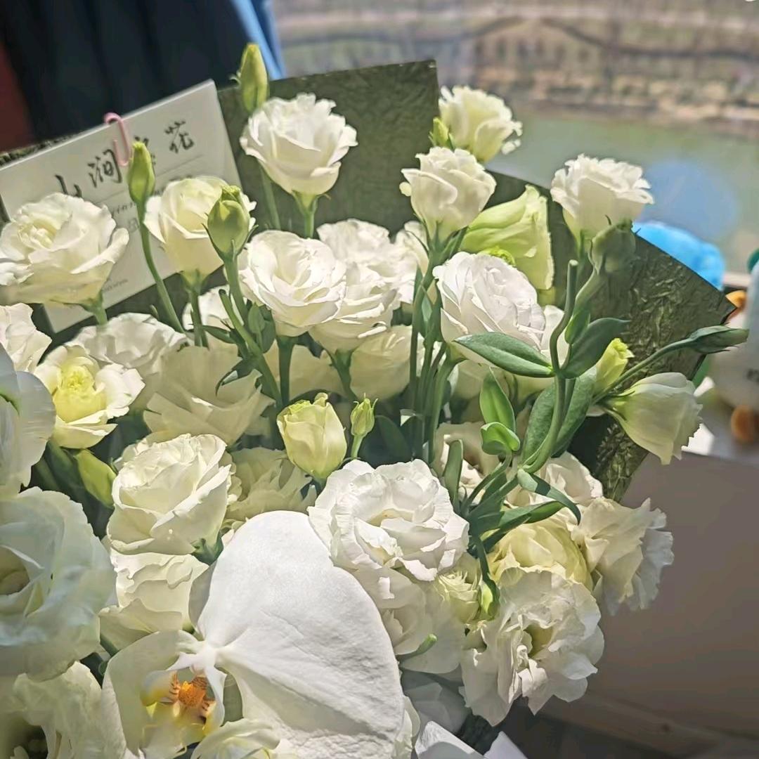 山涧名花