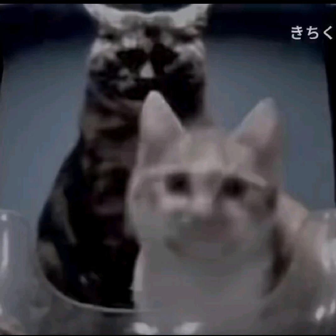 耶格尔今天淦神魔