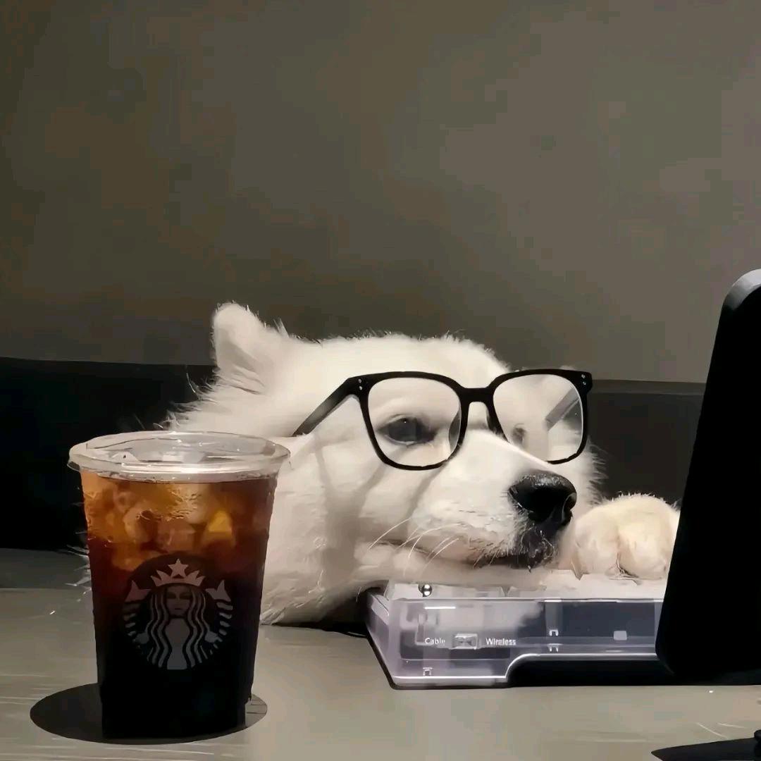 不求人