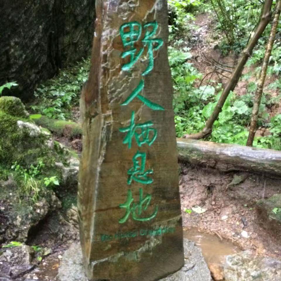 人类迷惑行为质检员