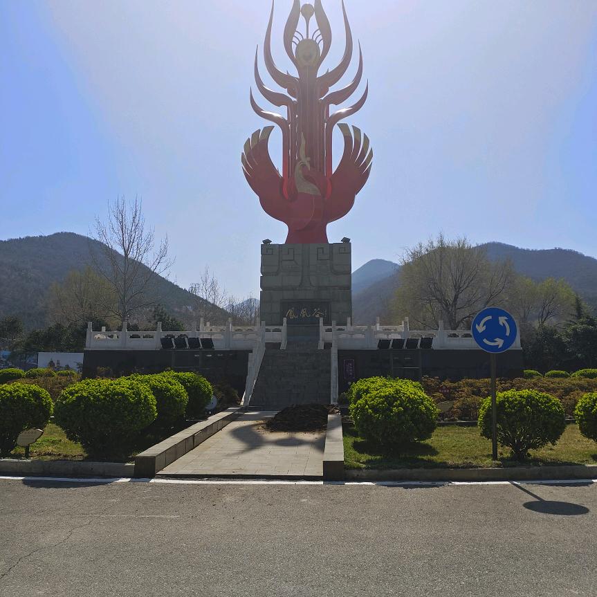 梧桐