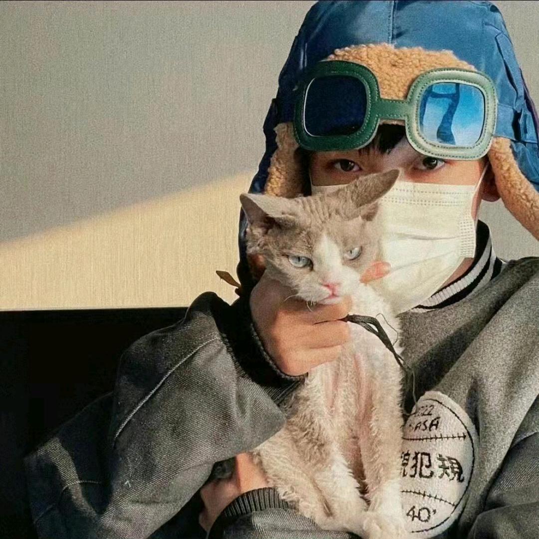 总断更的墙子