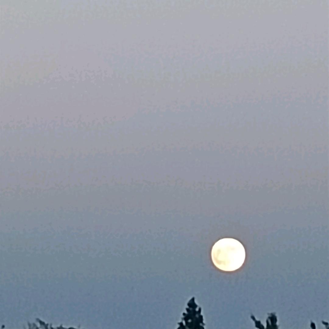 不忘初心