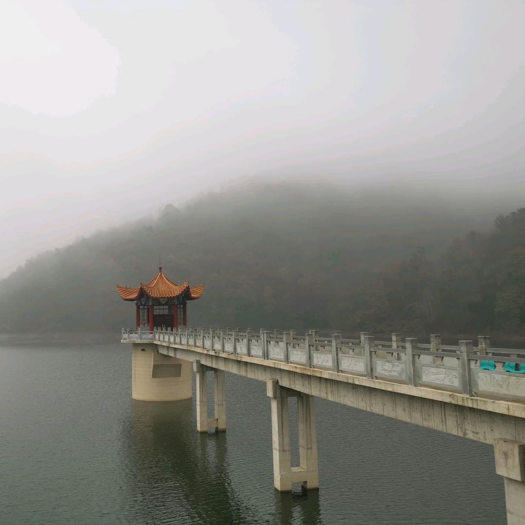 ''悟空''