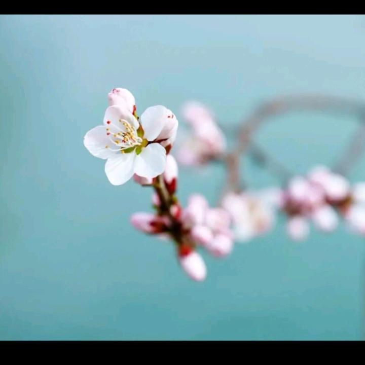 平凡的世界 ☀