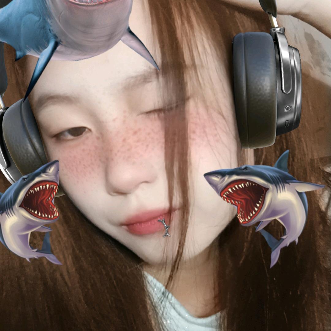 Y.小卿q