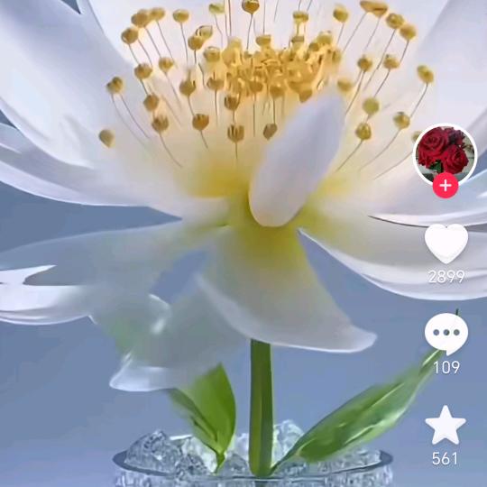 改变