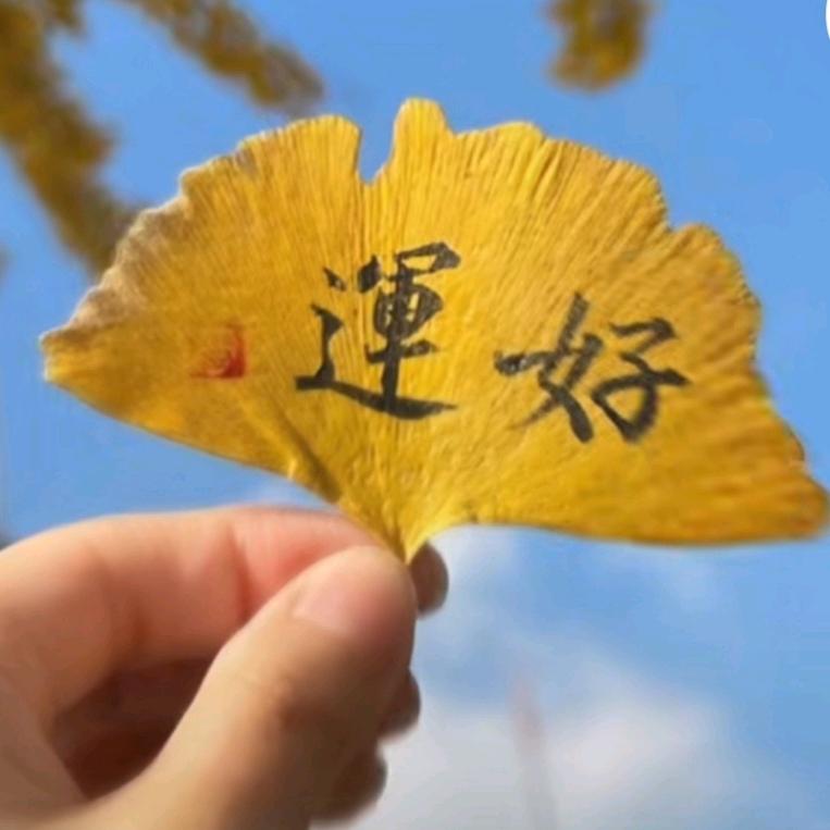 ∽