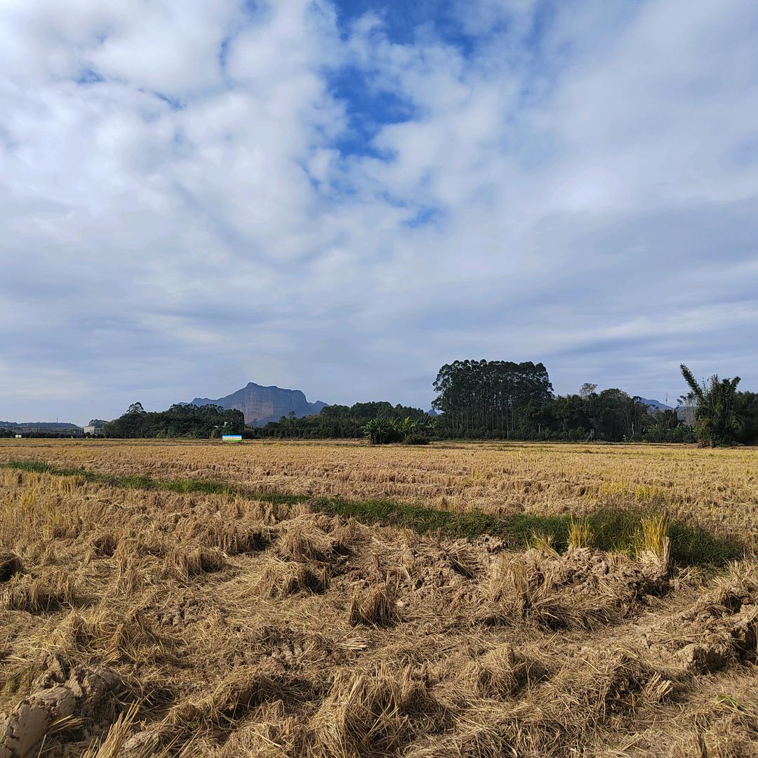 💰༺💰哇塞໊ཀྃএ᭄