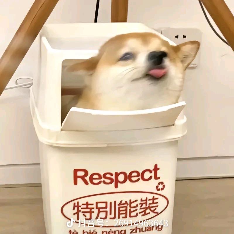 玥