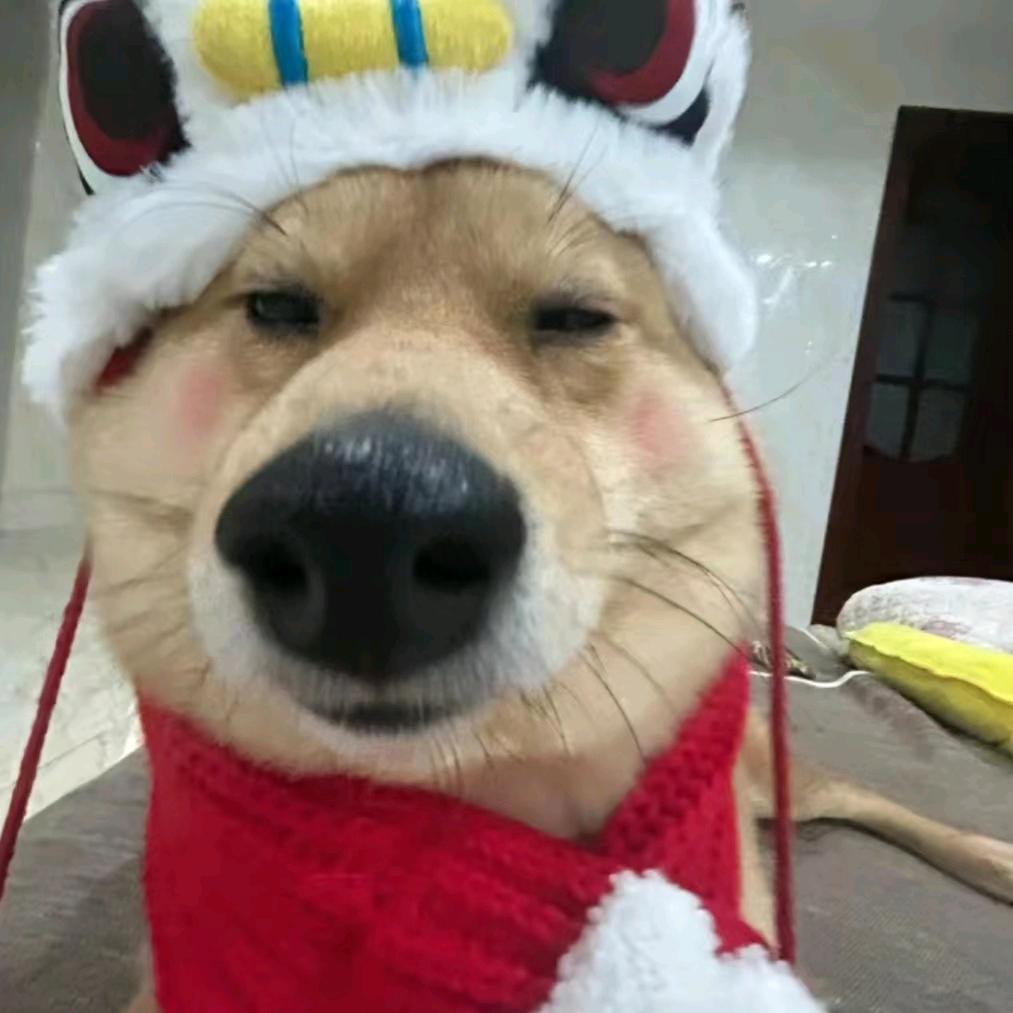 我是乐迪