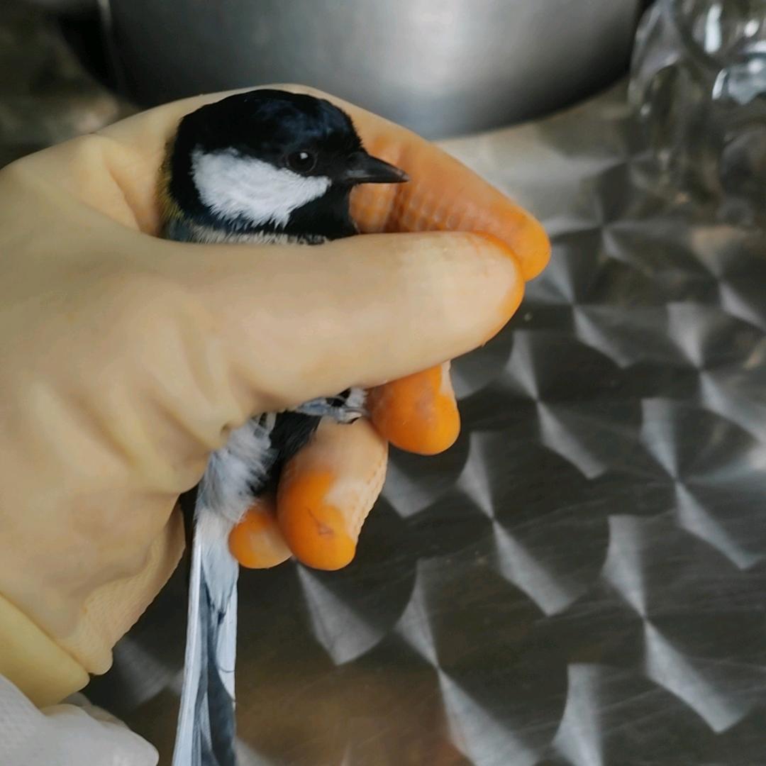 愿时间能缓，故人不散