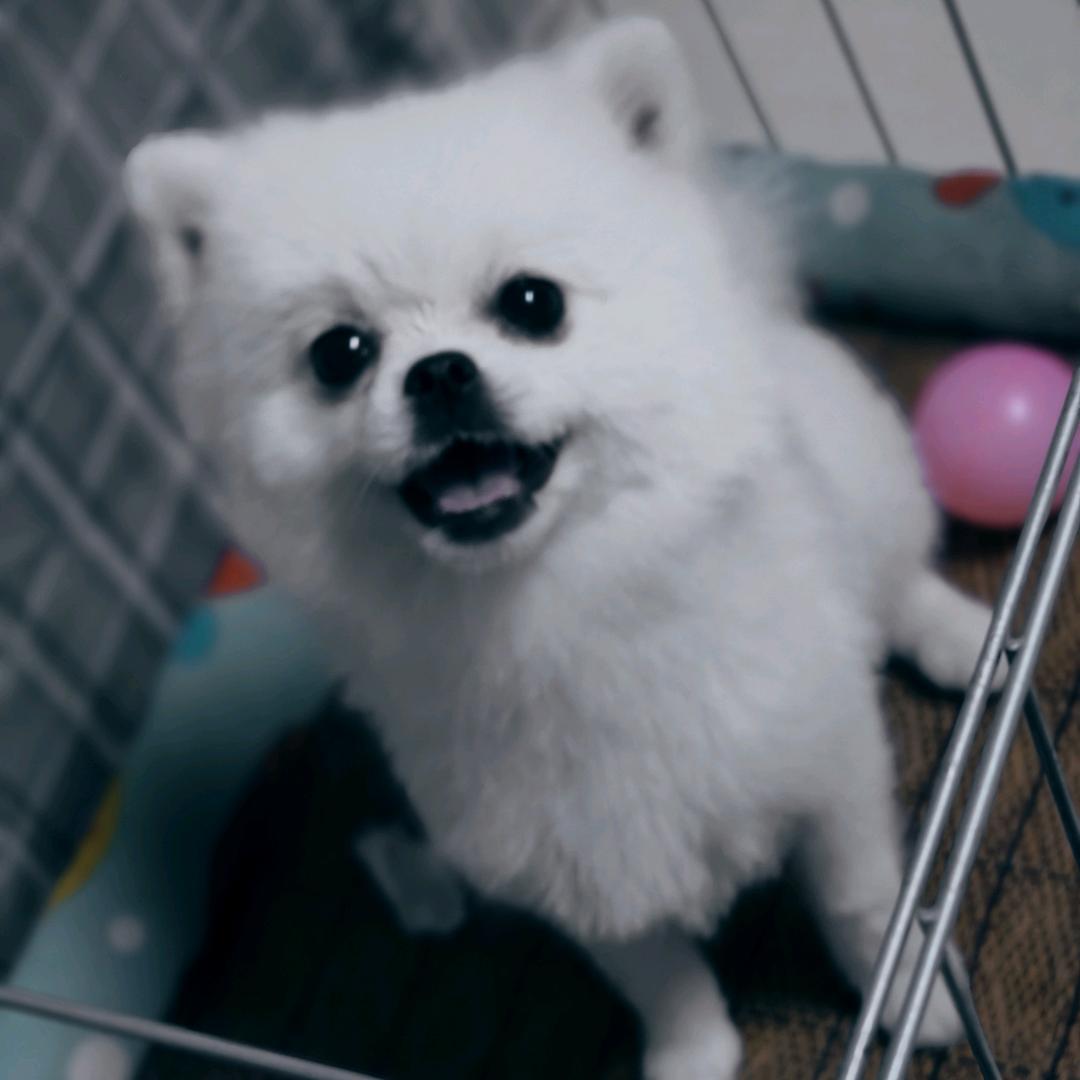 💞꧔ꦿ᭄ꦿ꯭杨杨⁵²⁰有意💞