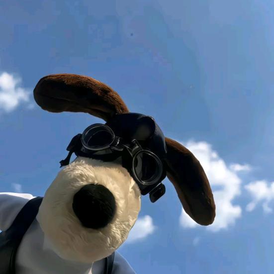 发梢（三角洲行动）